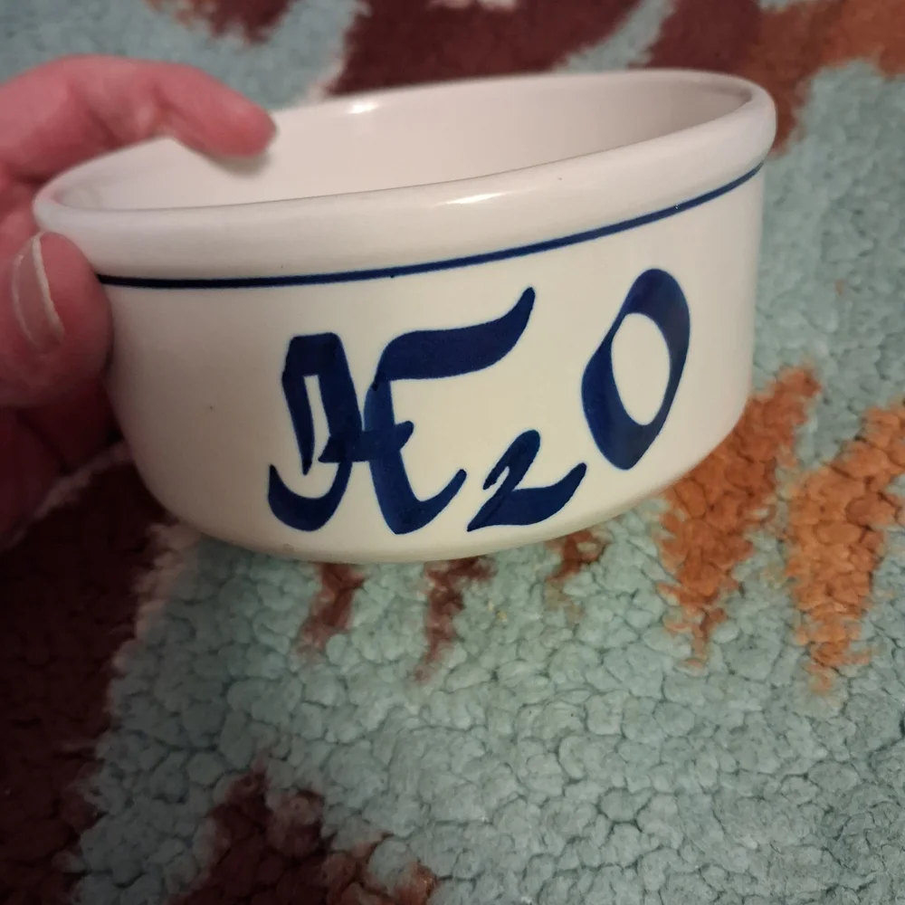 White Ceramic Bowl with Blue H2O Design